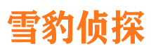 吉水侦探公司